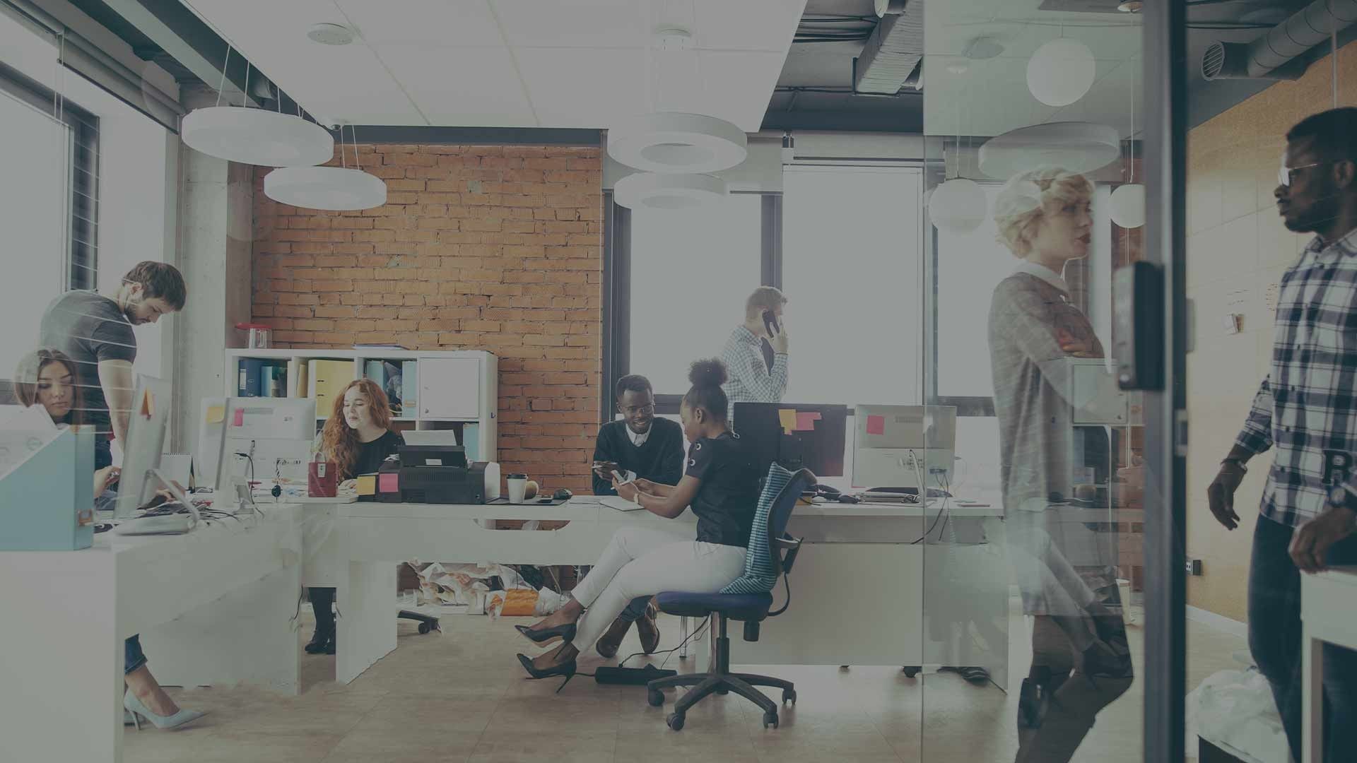 Senior Oracle Developer at IT